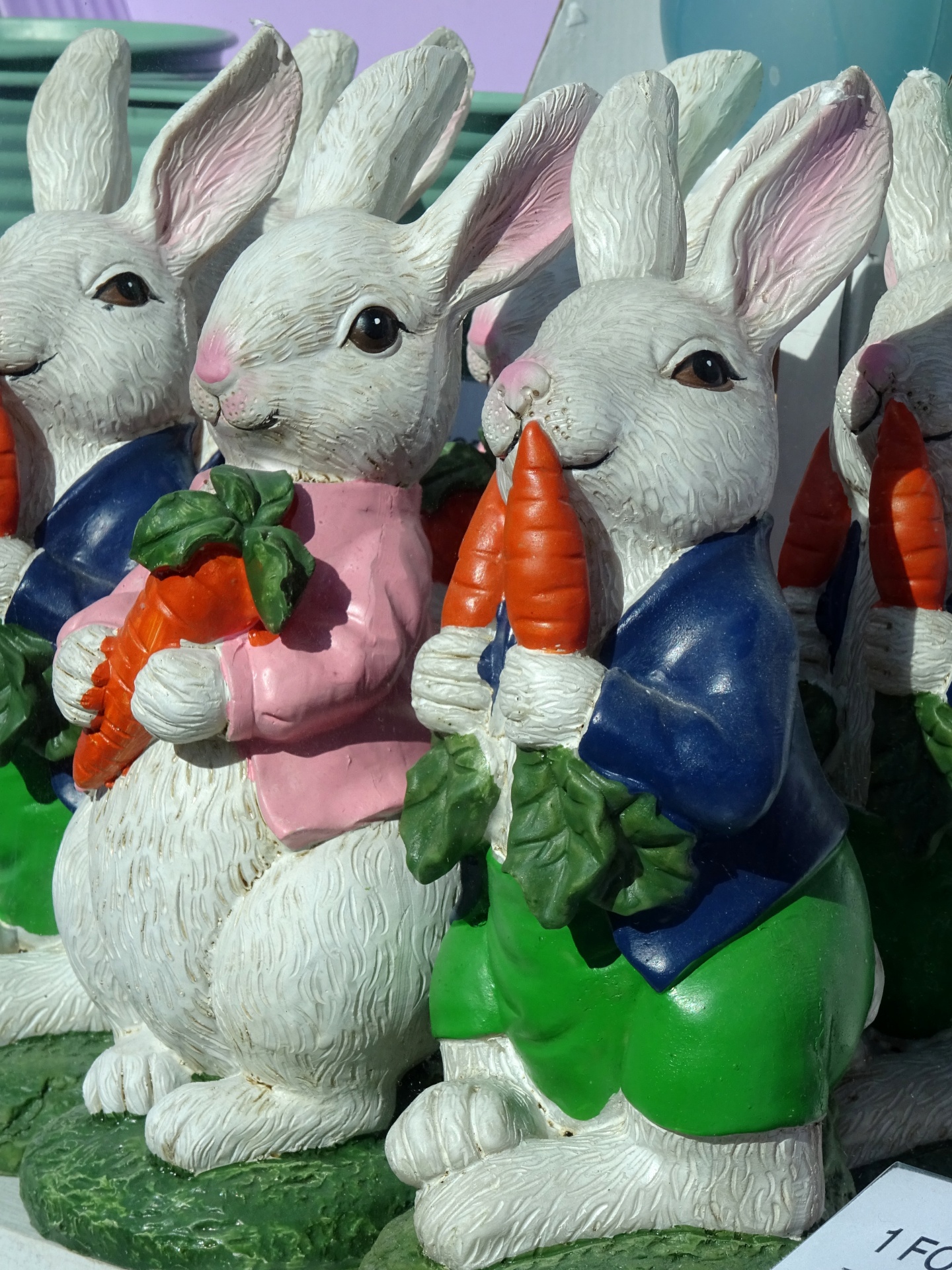 Rabbits With Carrots