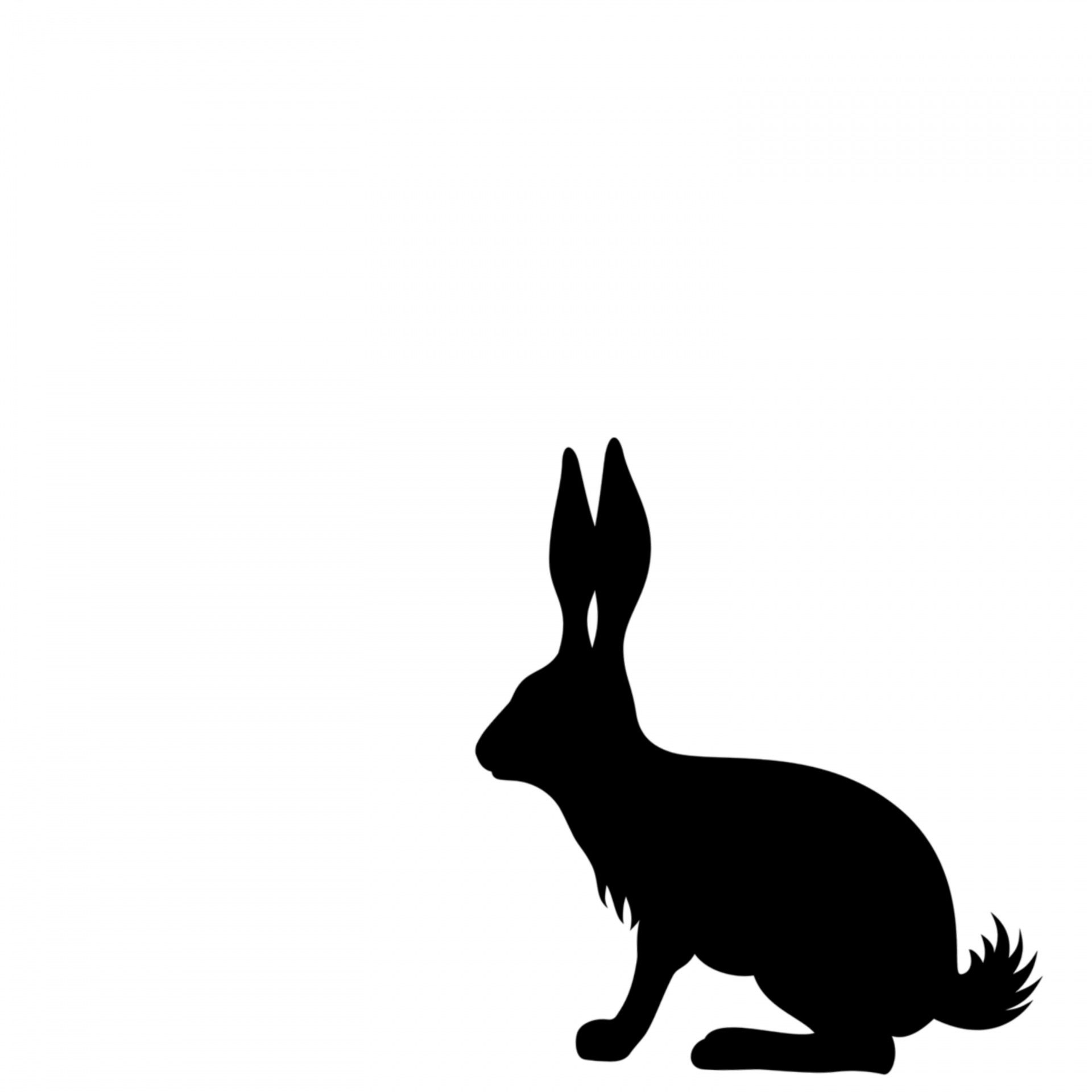 Silhouette Of A Rabbit