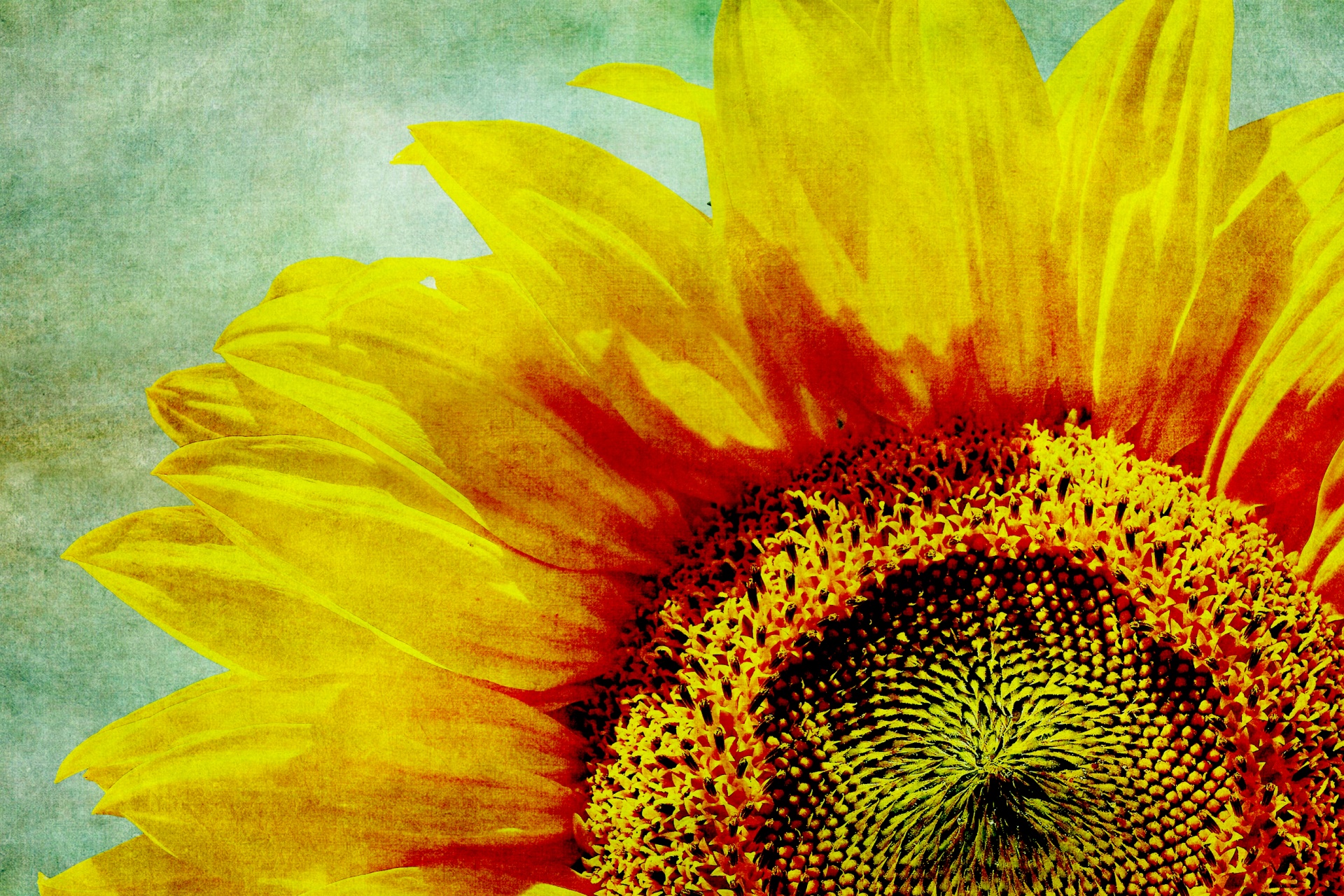 Sunflower Vintage Art