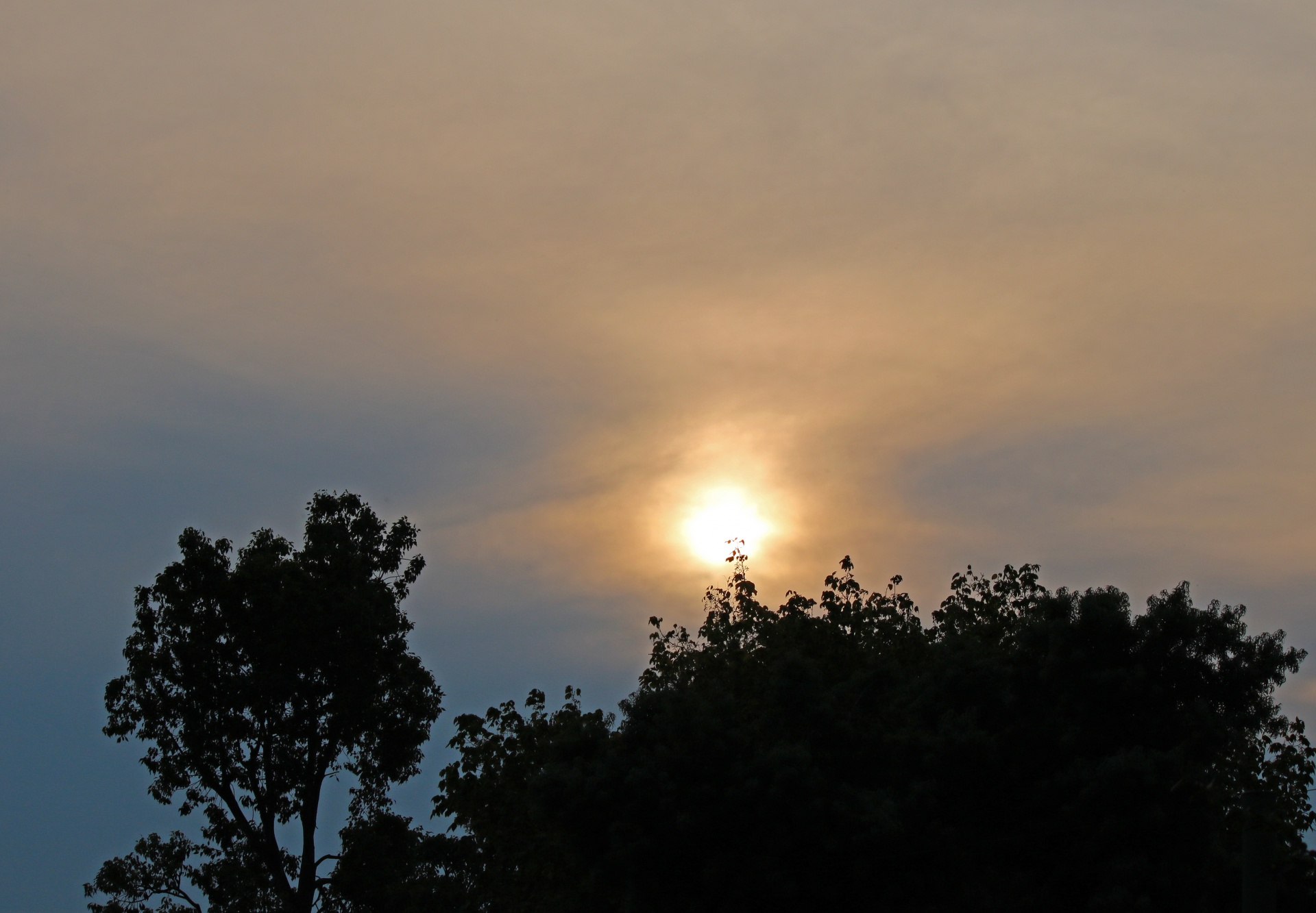 Sunset Filtered Through Cloud
