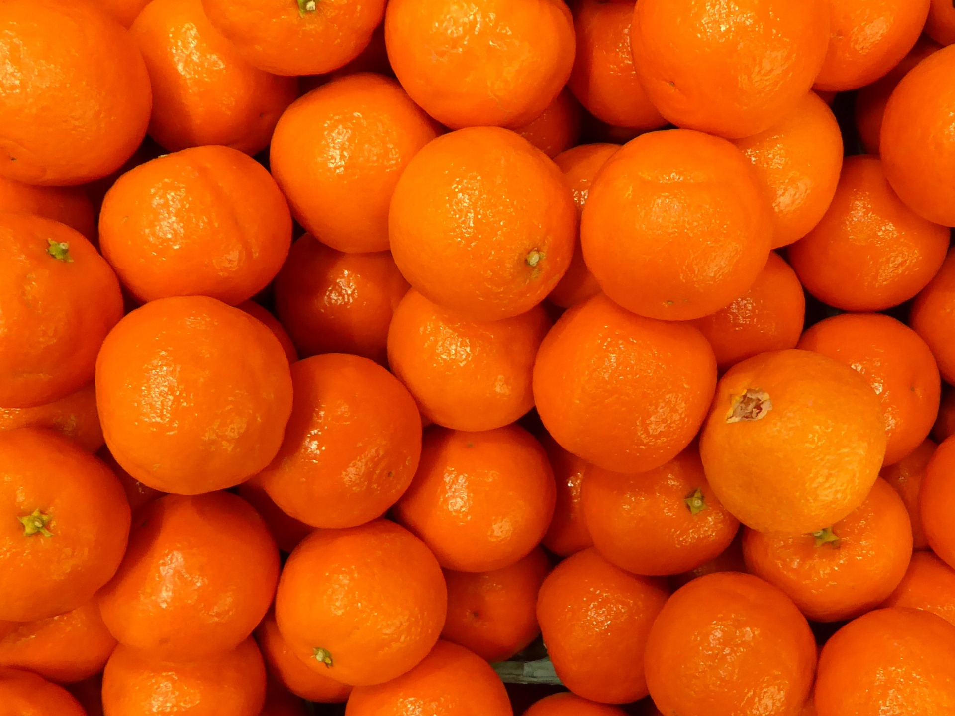 Tangerines For Sale