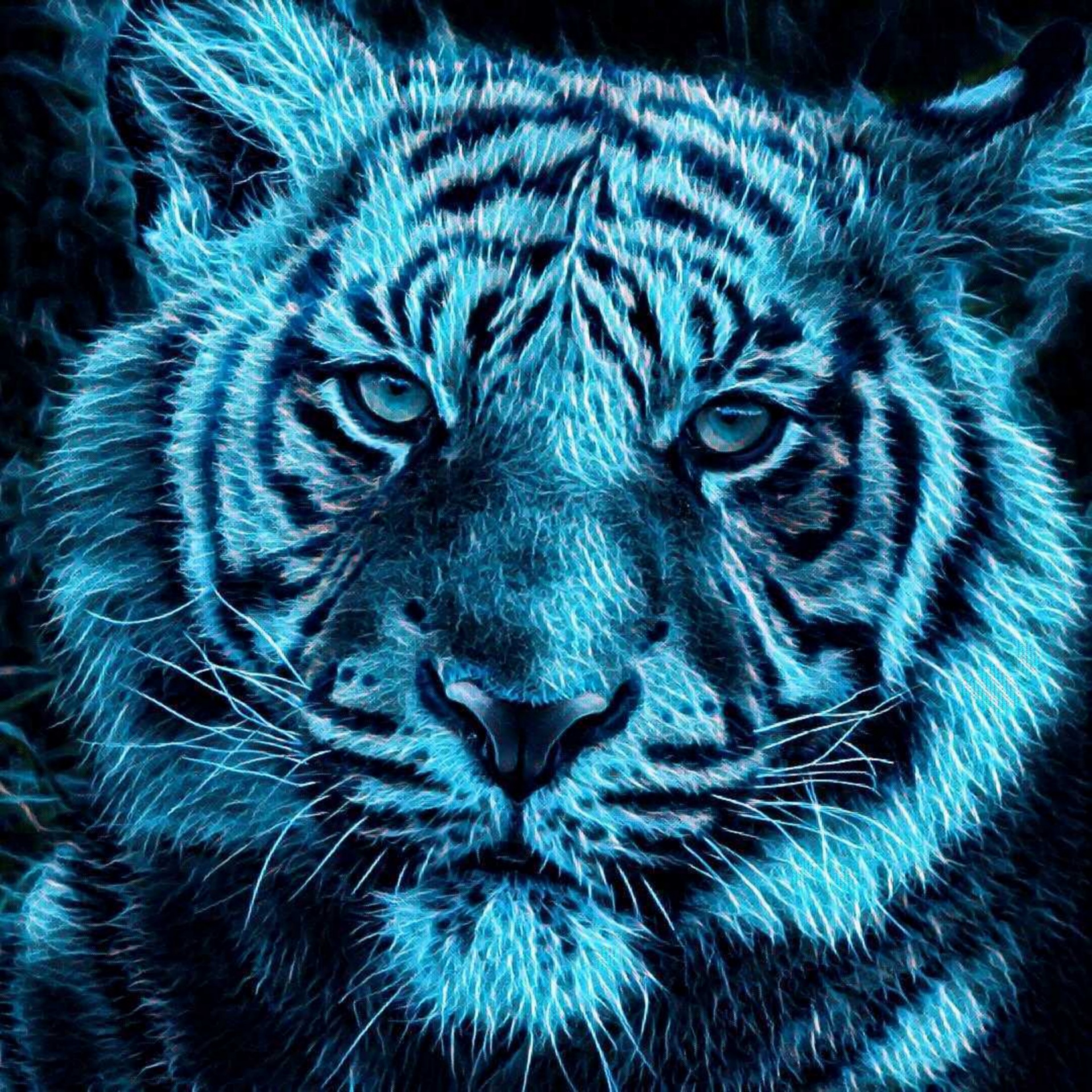 drawing of a tiger in blue flames