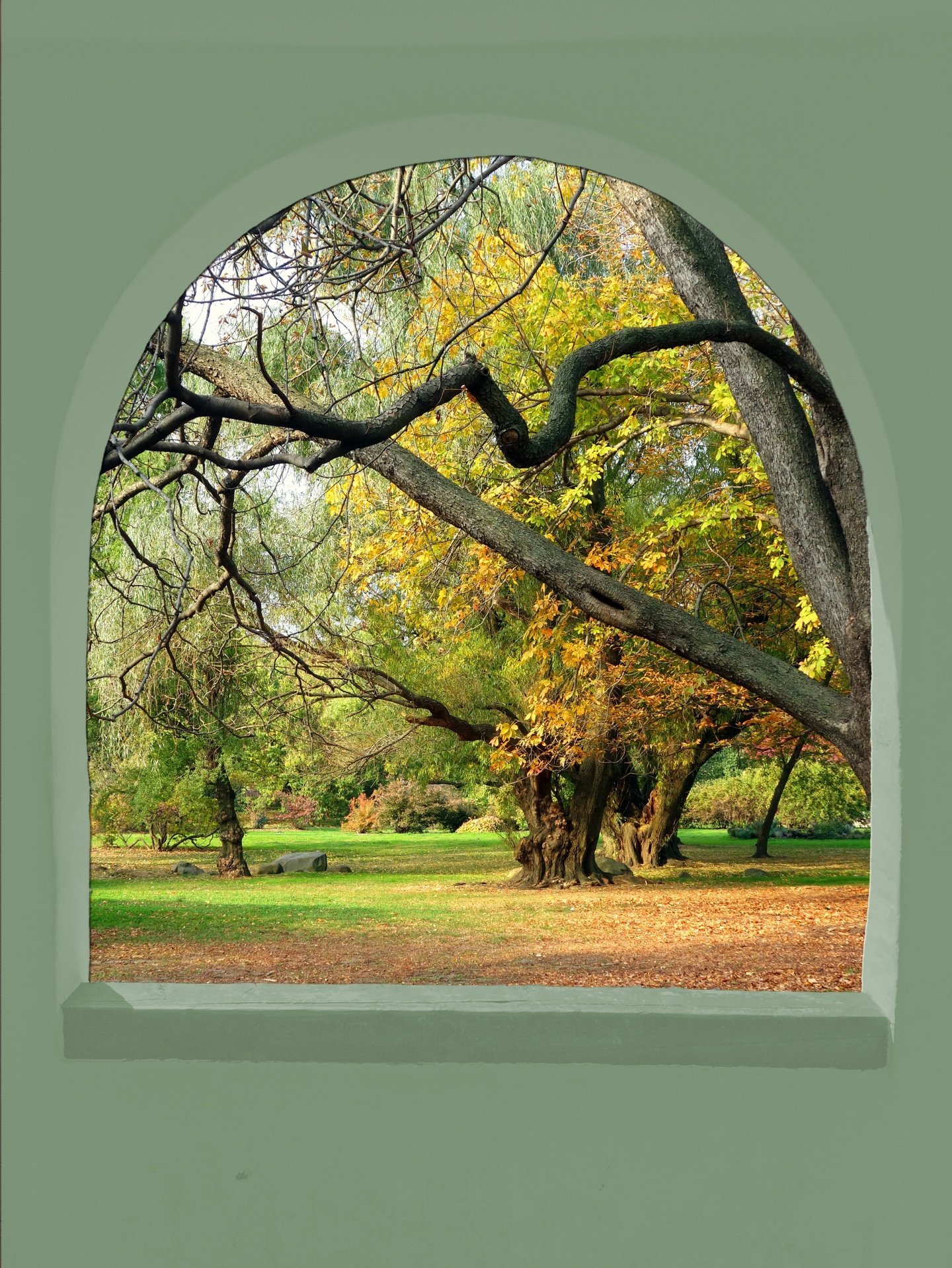 View of garden and trees in autumn through an arched window frame