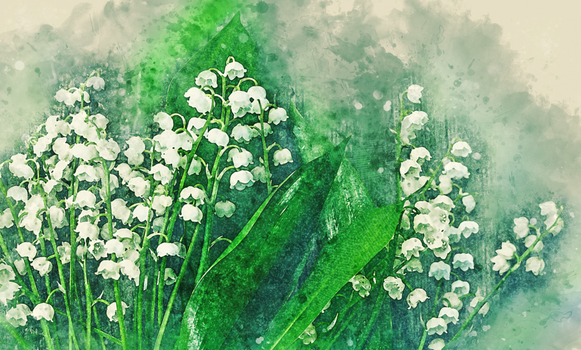 watercolor lilies