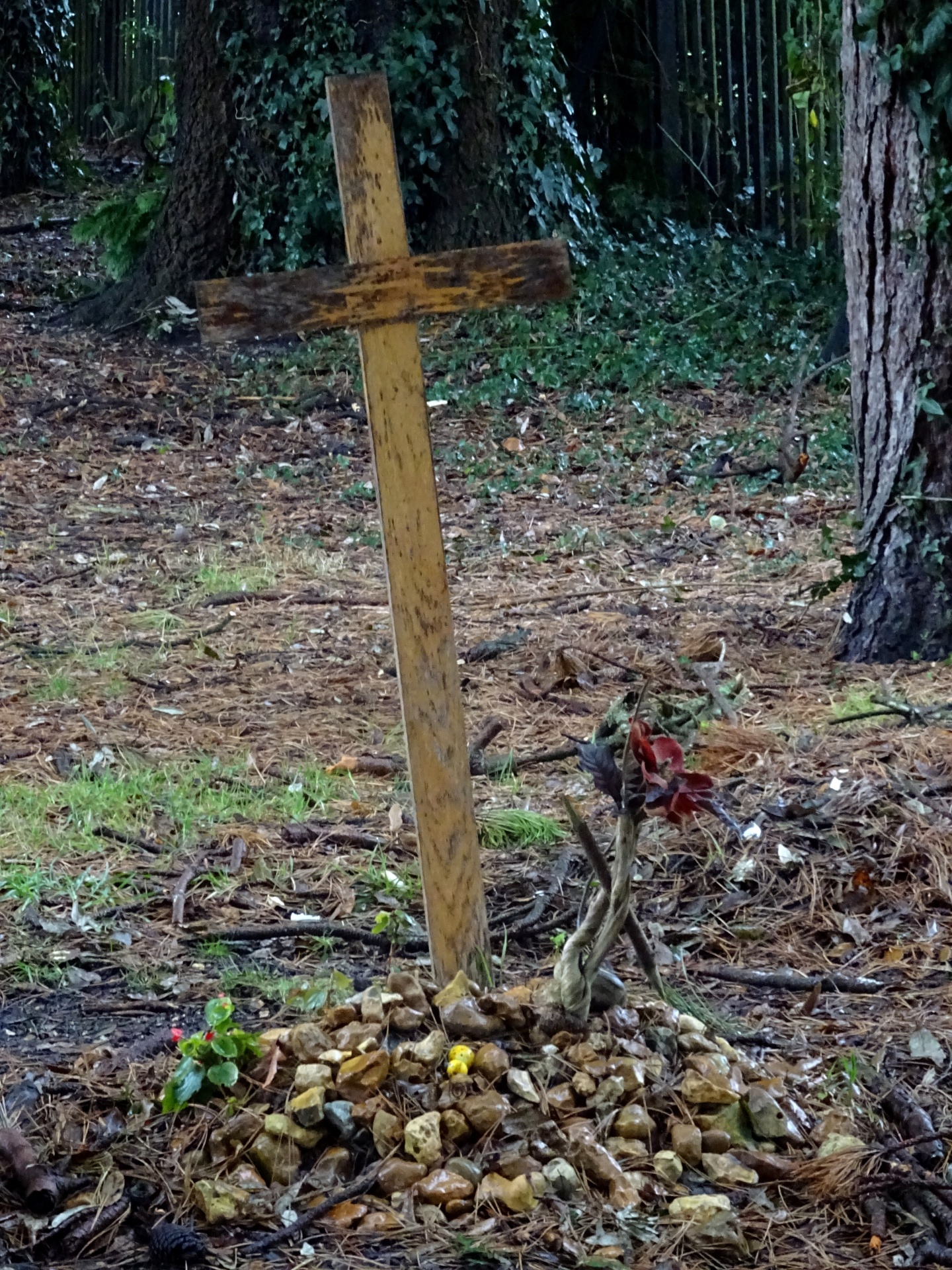 Wooden Cross On Cemetery Grave