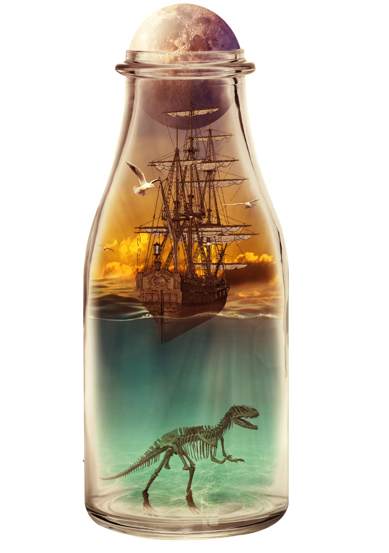 World In Bottle, Illustration