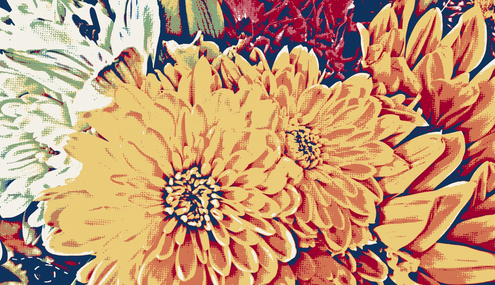 artistic effect applied to photo of yellow chrysanthemums