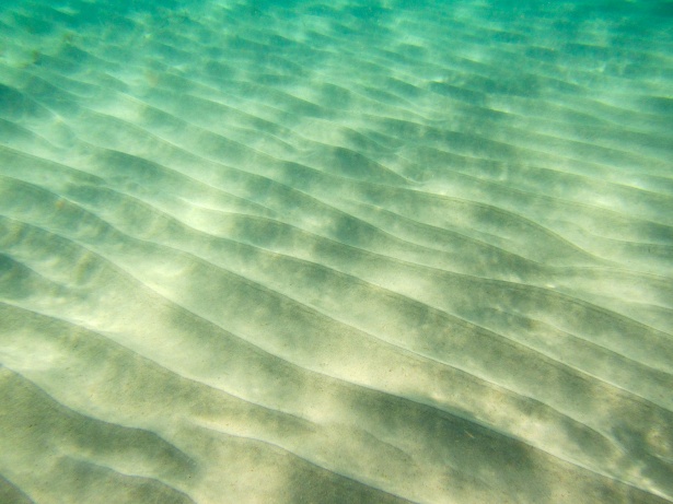 ocean floor sand