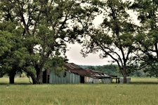 Abandoned Barn In Field