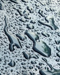 Abstract Water Droplets Texture