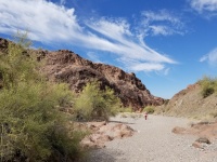 Arizona Desert Landscape