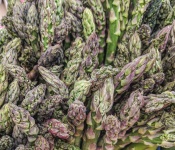Asparagus Background