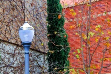 Autumn Light Post