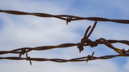 Barbed Wire, Cloudy Sky