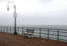 Bench On The Pier