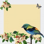 Bird Vintage Floral Frame