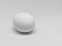 Black And White Single Egg