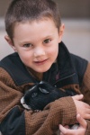 Boy And Guinea Pig