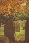 Cemetery In Autumn