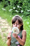 Child Blowing Salsify Seedhead