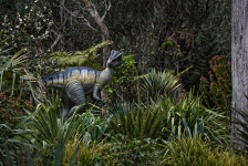 Dinosaur Display Outdoors