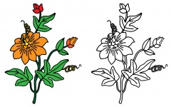 Flowers Illustration Coloring Page