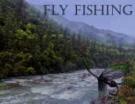 Fly Fishing Poster Image
