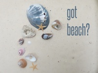 Got Beach Poster