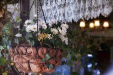 Hanging Flower Basket