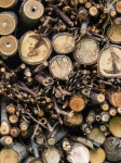 Insect Hotel Closeup