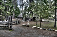Log Cabins In The Forest