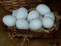 Nest Basket Of Eggs