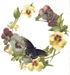 Pansies And Butterflies Background