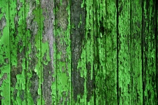 Peeling Paint Background Green