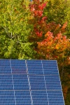 Photovoltaic Panels In The Fall