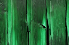 Pine Wood Panel Background Green