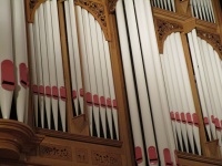 Pipe Organ Front
