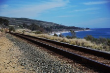 Railroad Tracks On Highway 1