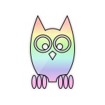 Rainbow Owl 1