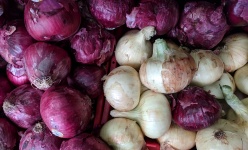 Red Onions And White Onions