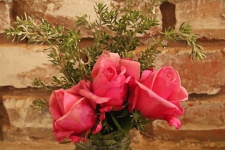 Roses And Foliage In A Jar