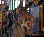 Shiny Carousel Horse