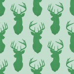 Stag, Deer Wallpaper Background