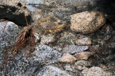 Stream Rocks Background