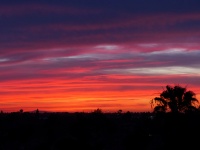Sunset At Newport Beach