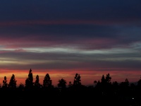 Sunset At Newport Beach