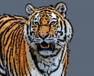 Tiger Face 2