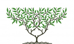 Tree Clipart Illustration