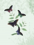 Vintage Butterflies Background 2