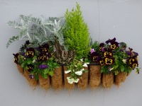 Wall Basket Of Beautiful Flowers